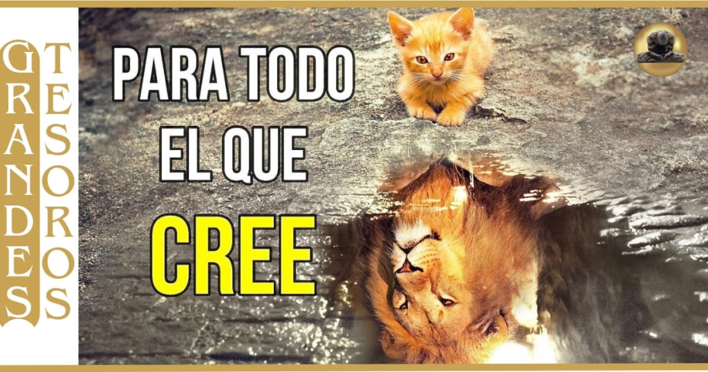 🔥 Imagen de un Gato mirando su reflejo cómo si fuera un gran León, muestra de su con confianza absoluta.