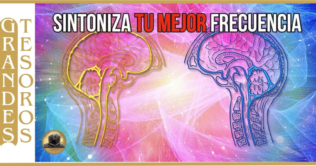 Imagen de dos cerebros sintonizando frecuencias
